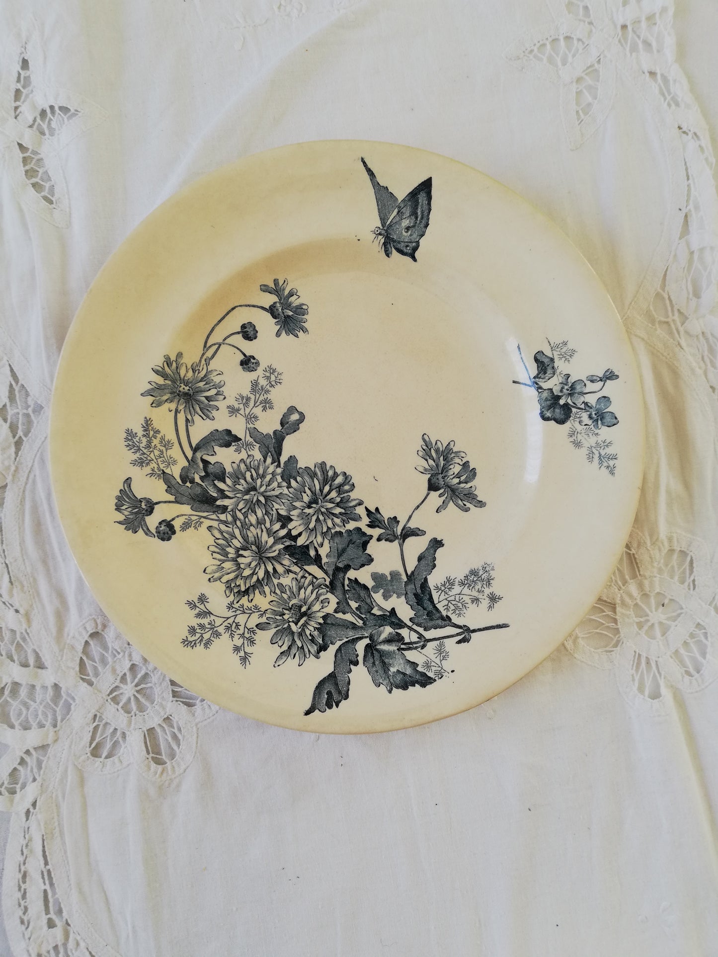 Duo Assiettes Longwy Terre de fer Botanique