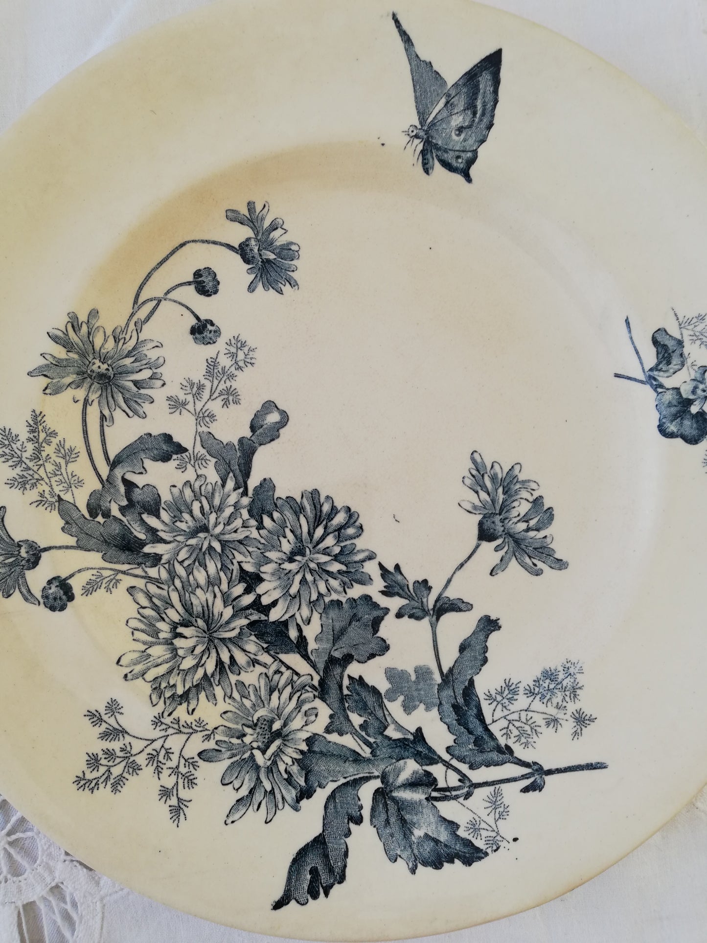 Duo Assiettes Longwy Terre de fer Botanique
