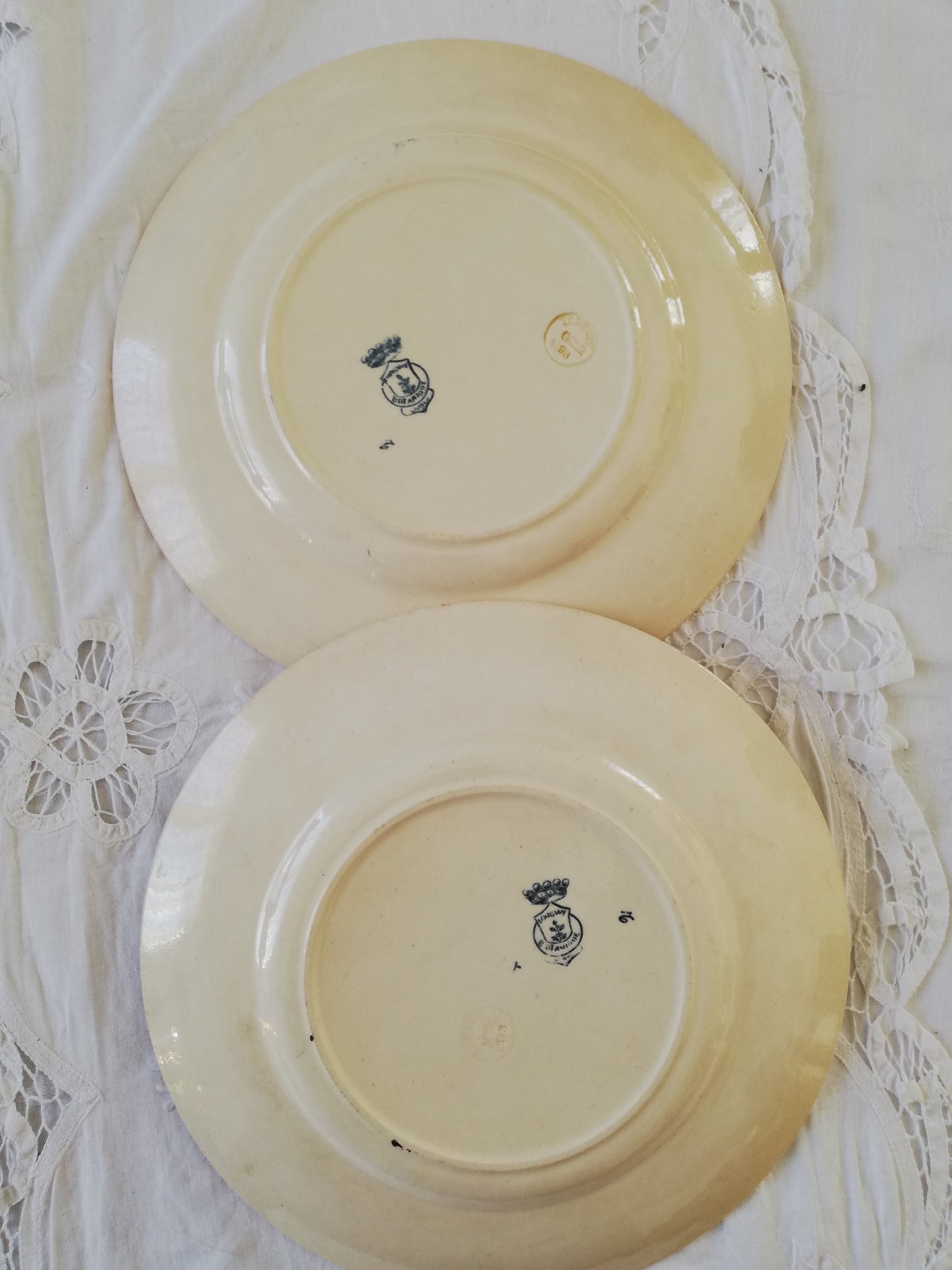 Duo Assiettes Longwy Terre de fer Botanique