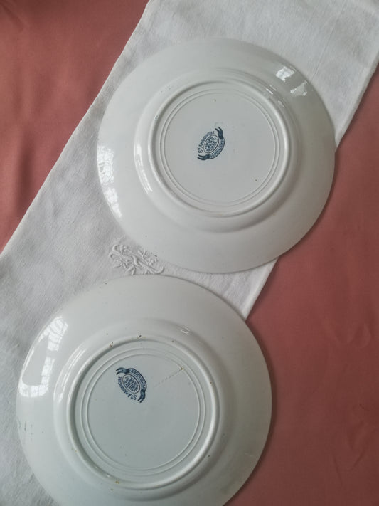 Assiette Pompadour Saint Amand  Amandinoise