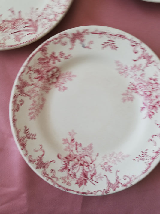Assiette plate Floreal Choisy le Roi