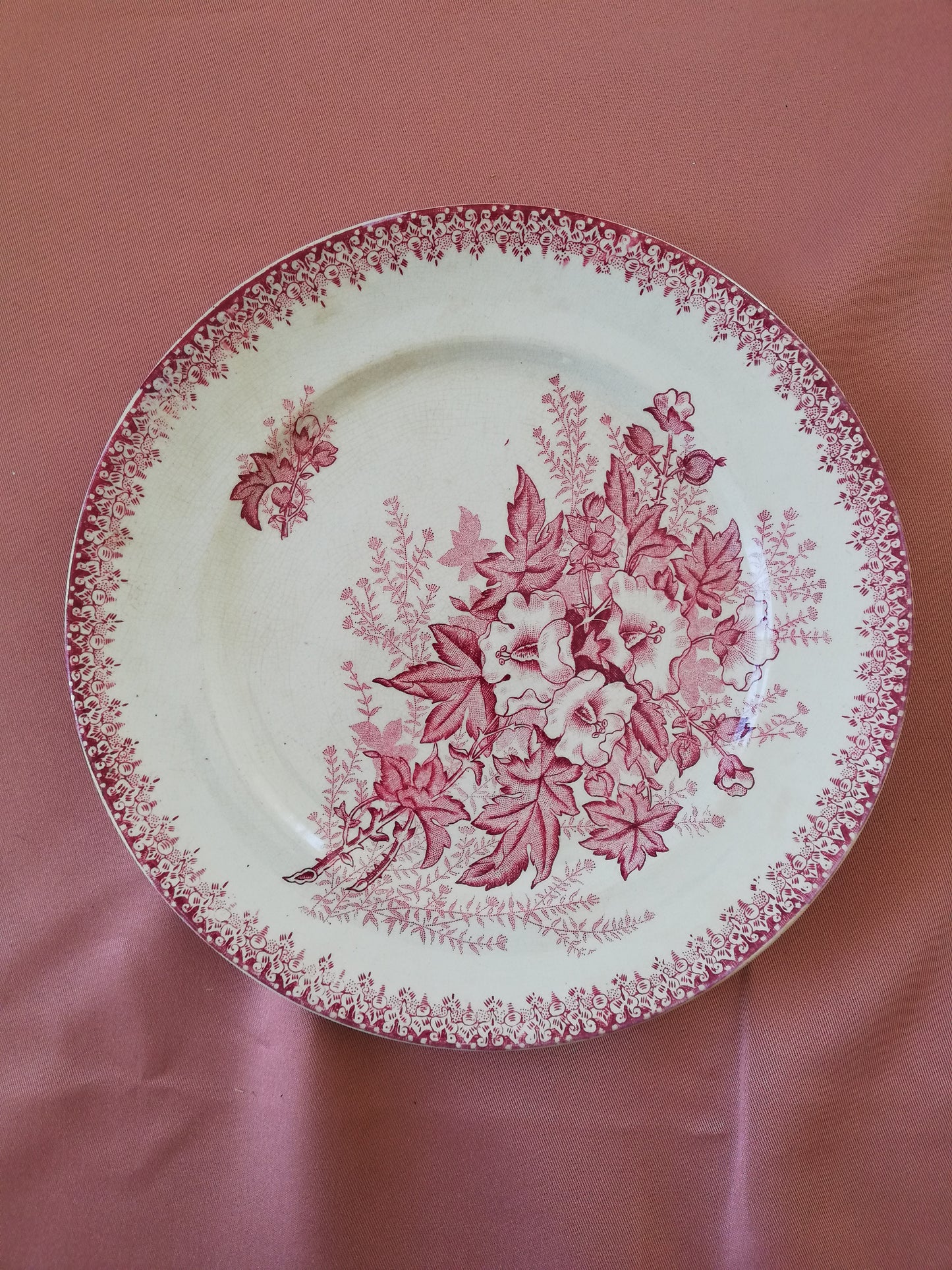 Assiette Plate Eglantine