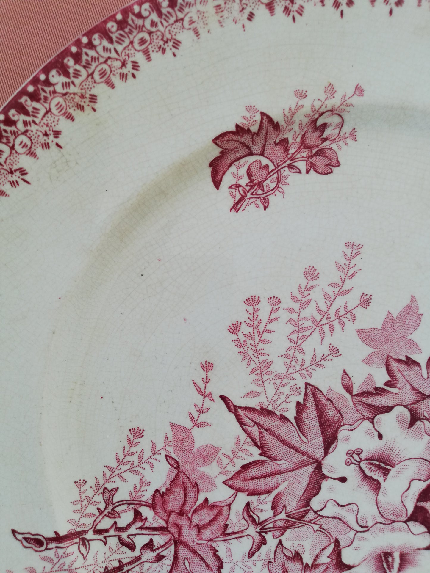 Assiette Plate Eglantine