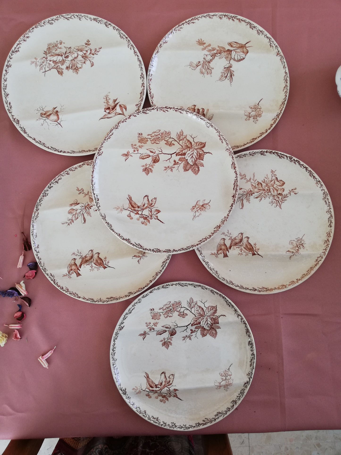 Assiette compartiment Silva Creil et Montereau