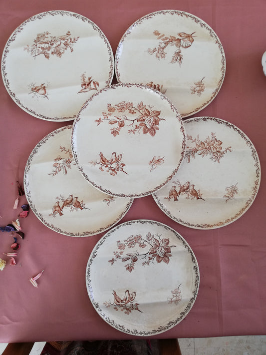 Assiette compartiment Silva Creil et Montereau
