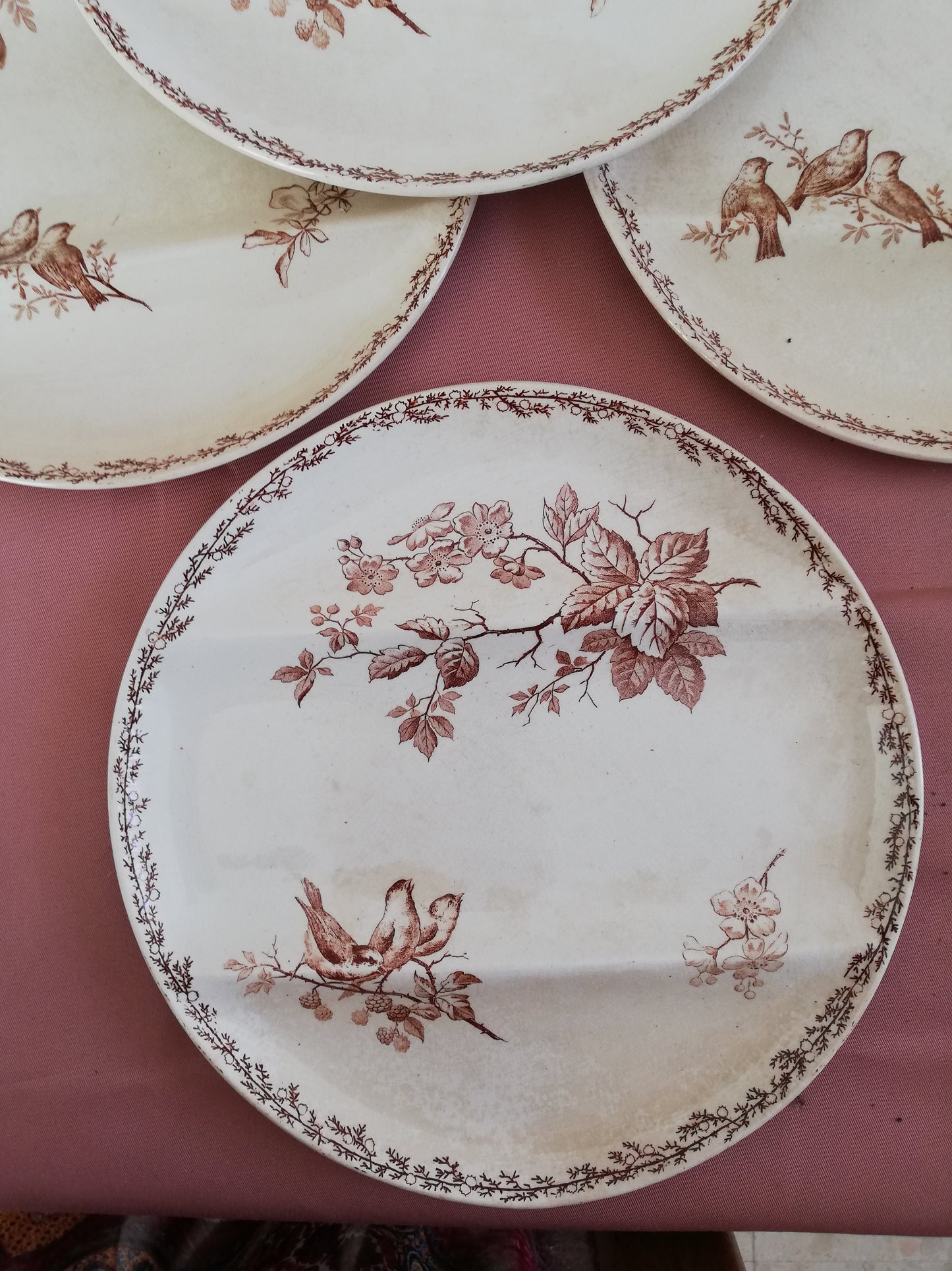 Assiette compartiment Silva Creil et Montereau