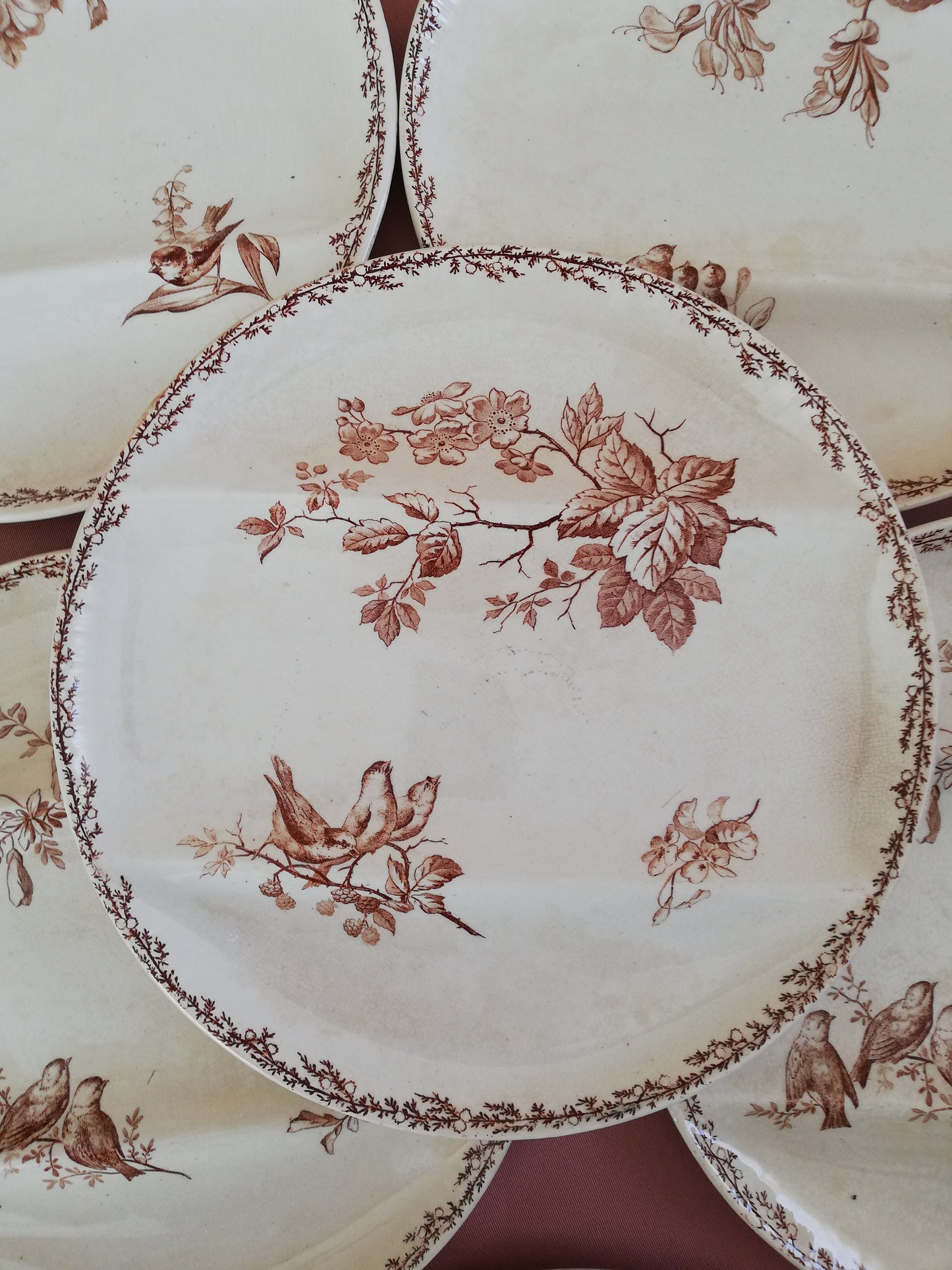 Assiette compartiment Silva Creil et Montereau