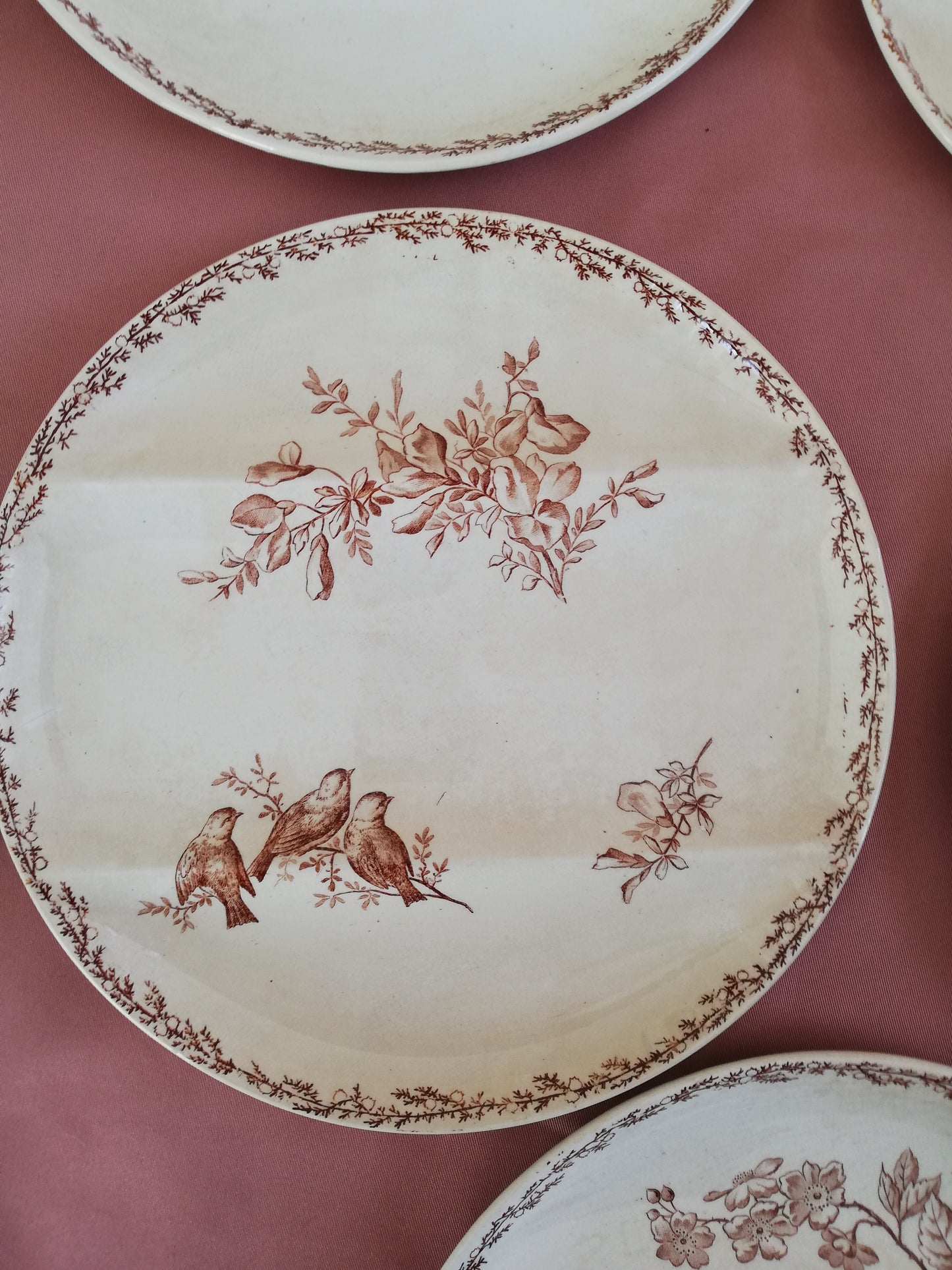 Assiette compartiment Silva Creil et Montereau