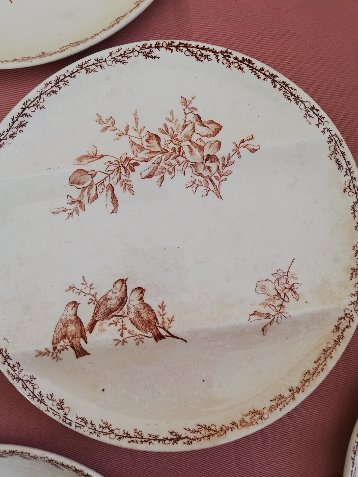 Assiette compartiment Silva Creil et Montereau