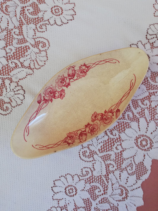 Ravier Palerme Sarreguemines