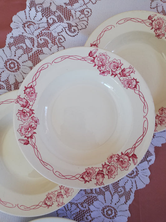 Assiette Creuse Palerme Sarreguemines terre de fer rose rouge