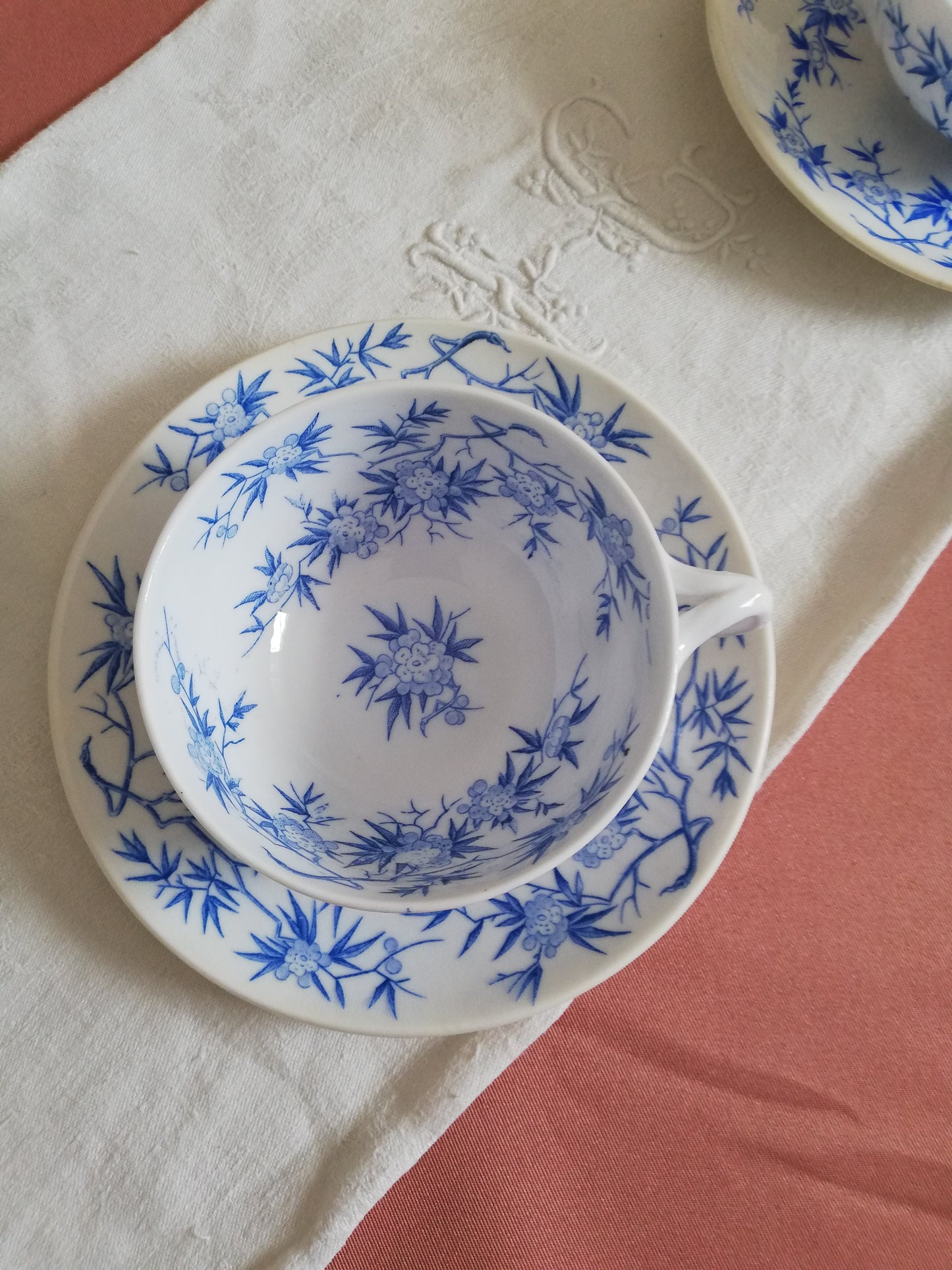 Tasse Sarreguemines Épine