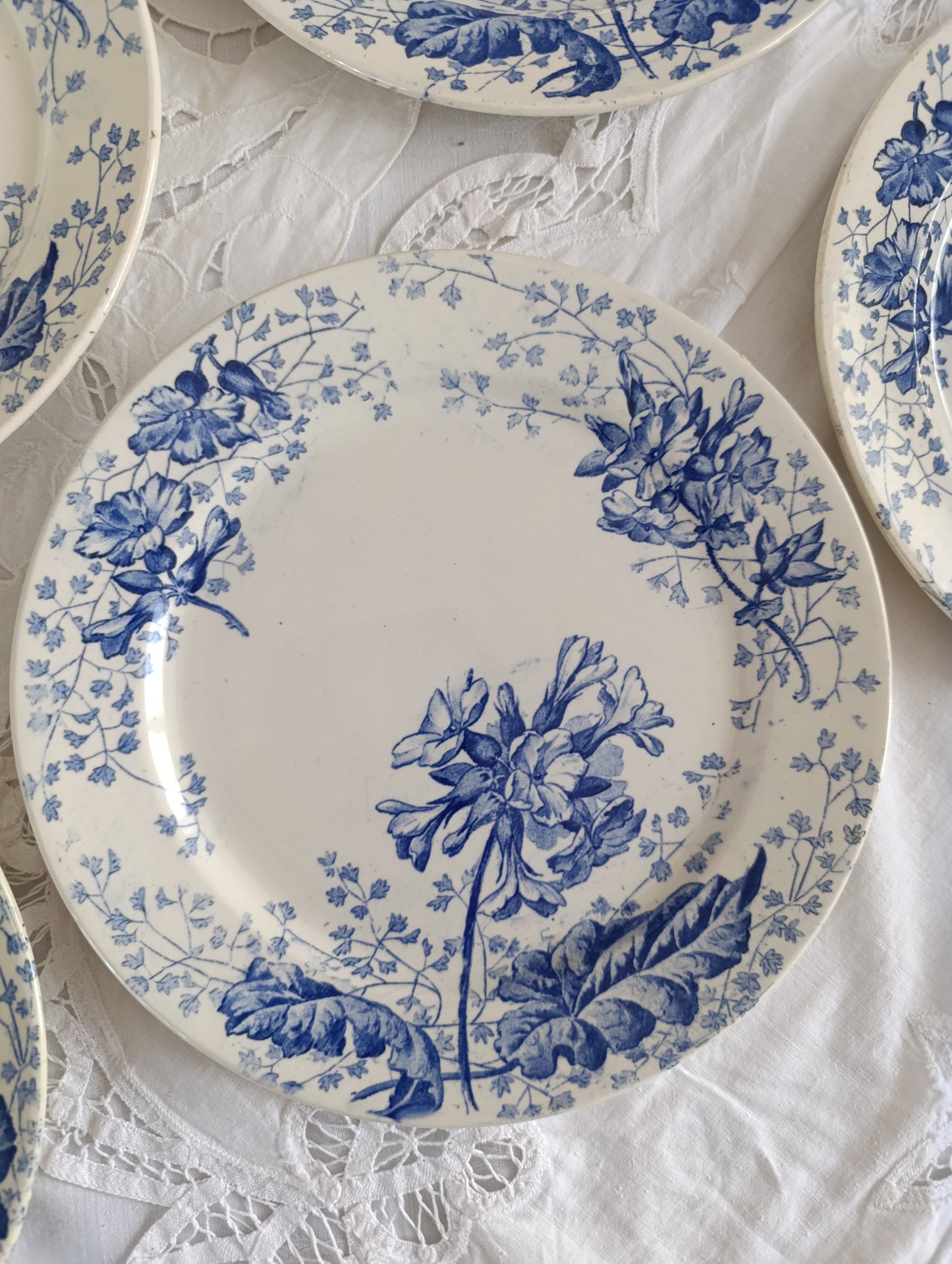 Assiette Primevère Creil et Montereau