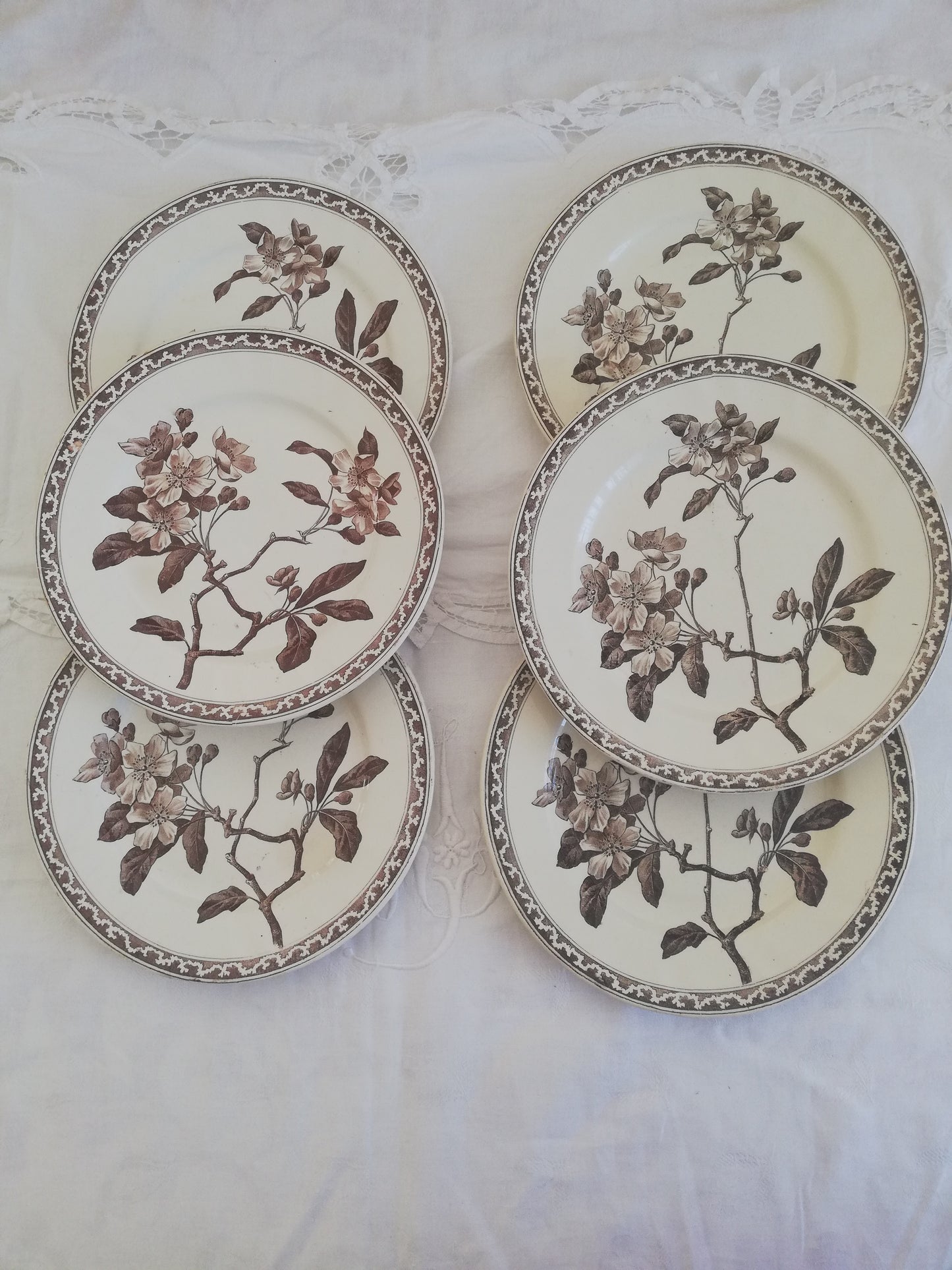 Assiette Creil et Montereau Fleur de Pommier 21 cm