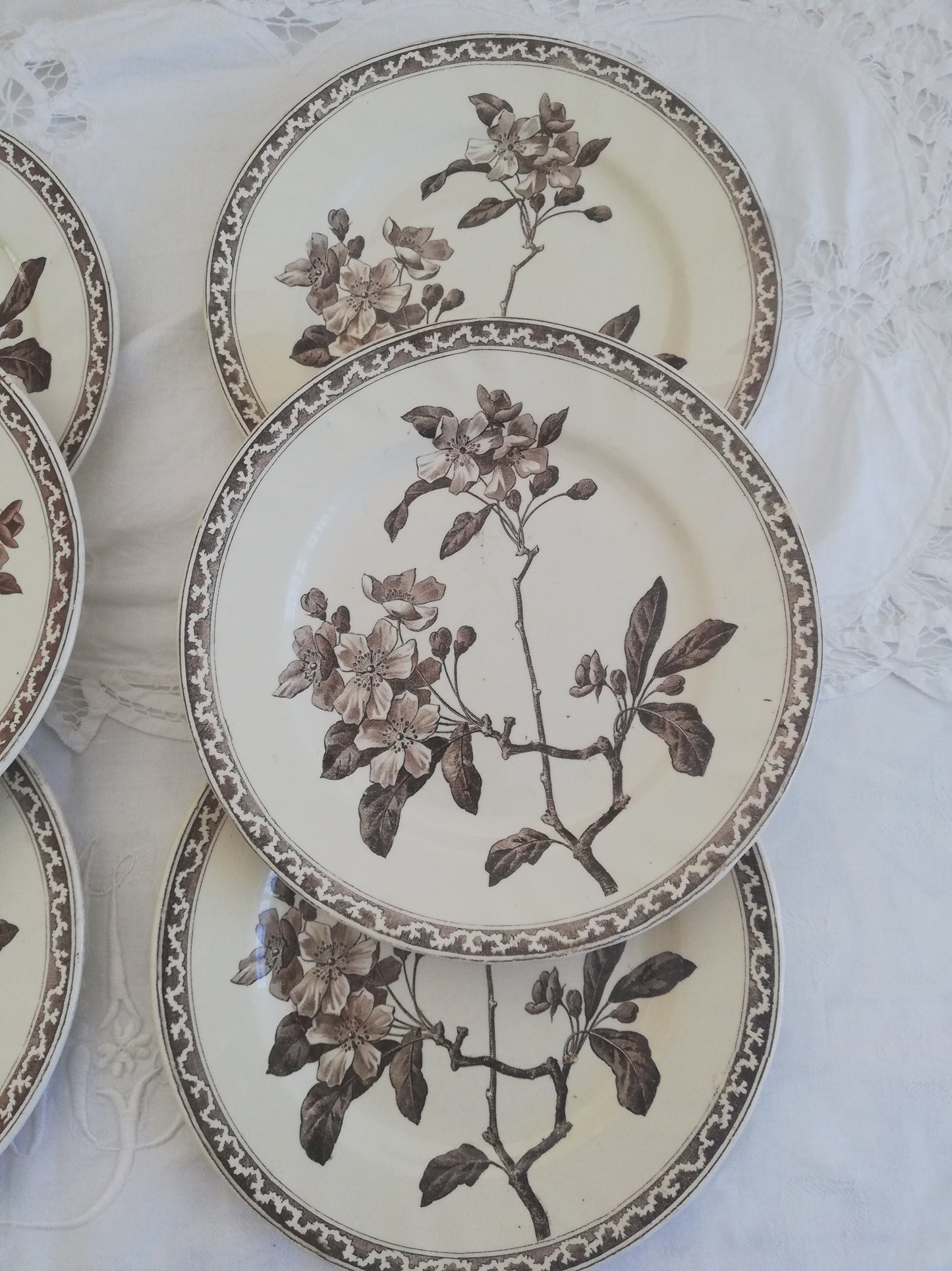Assiette Fleurs de Pommier Creil et Montereau