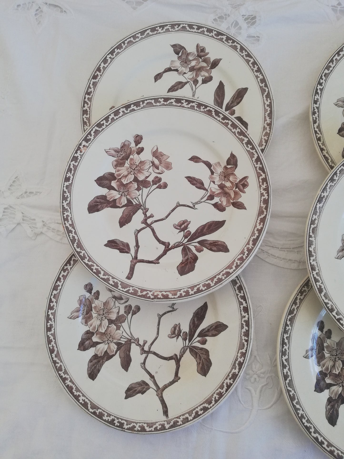 Assiette Creil et Montereau Fleur de Pommier 21 cm