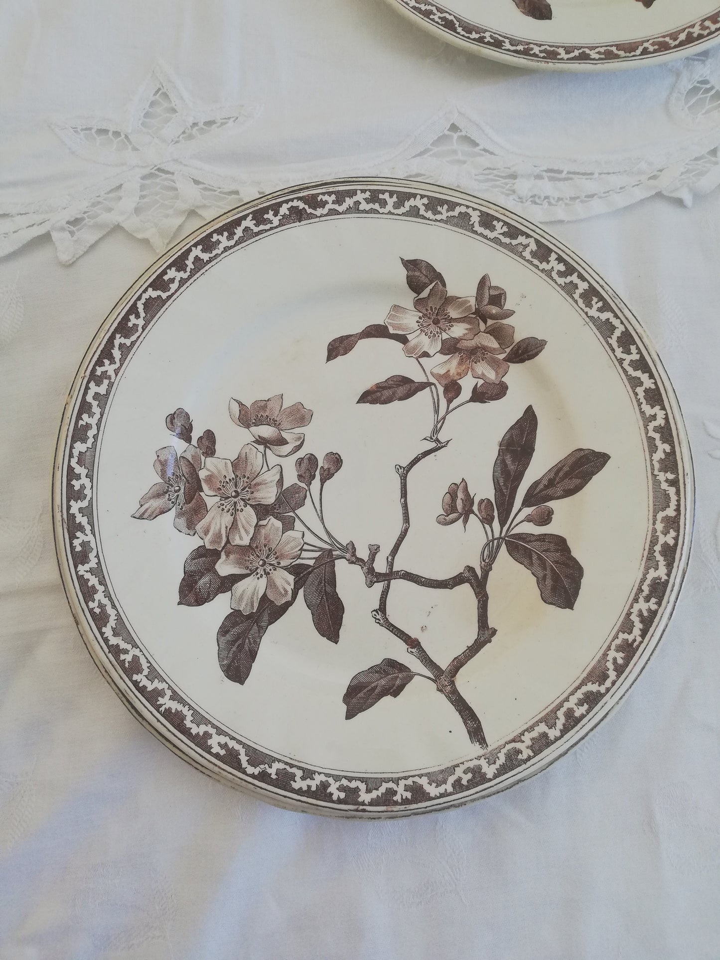 Assiette Creil et Montereau Fleur de Pommier 21 cm