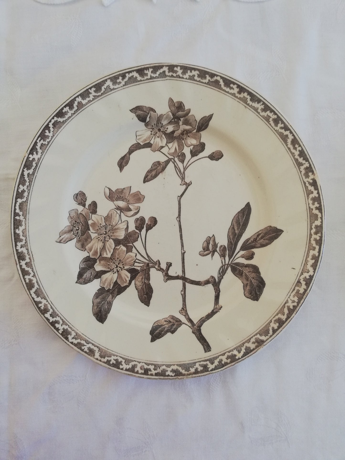 Assiette Fleurs de Pommier Creil et Montereau