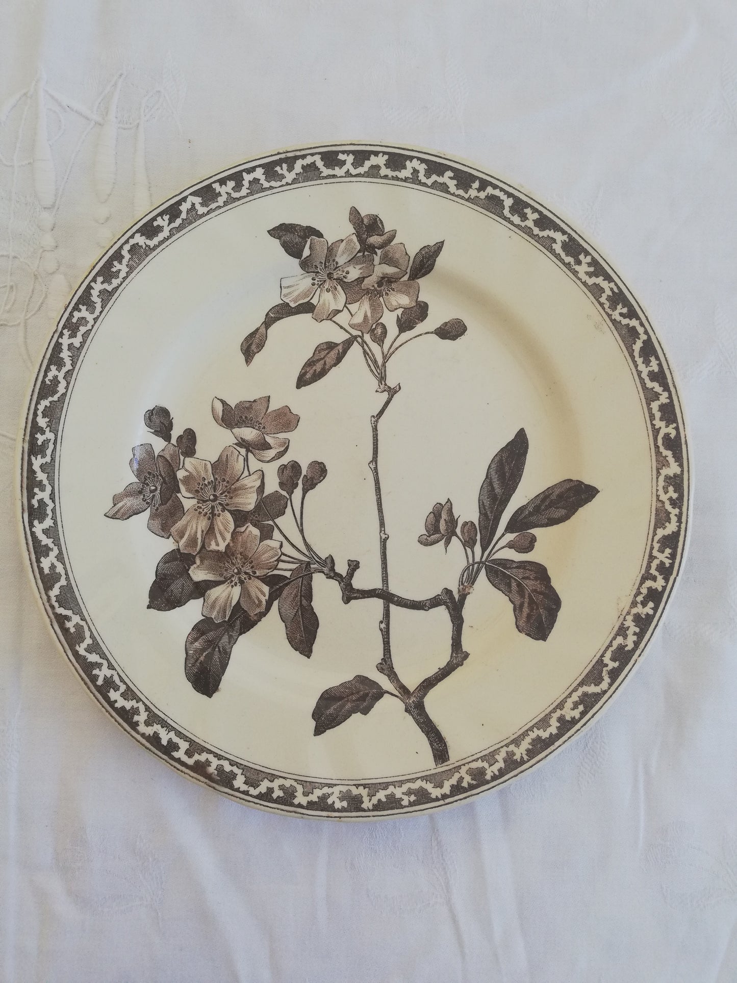 Assiette Fleurs de Pommier Creil et Montereau
