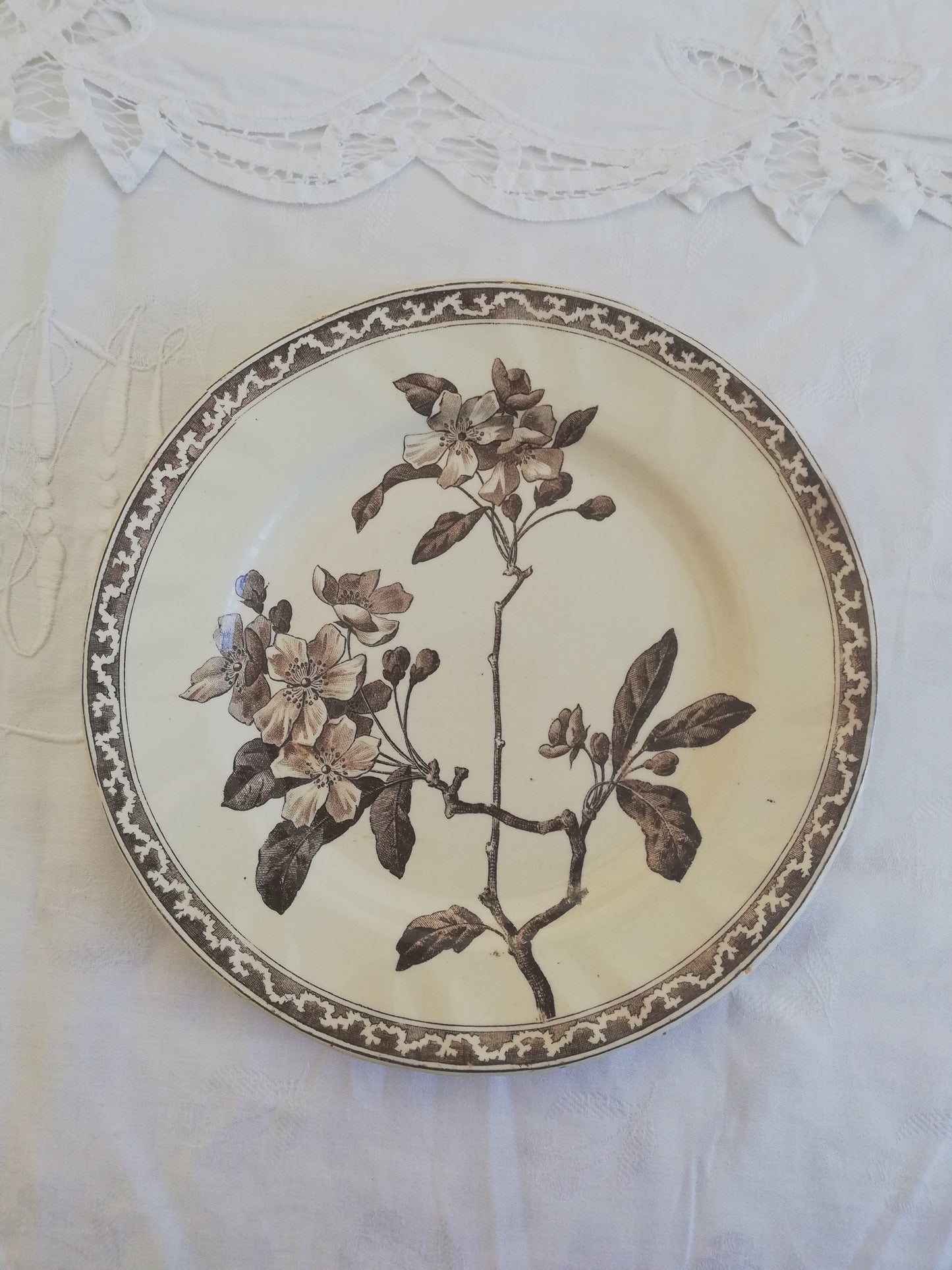 Assiette Fleurs de Pommier Creil et Montereau