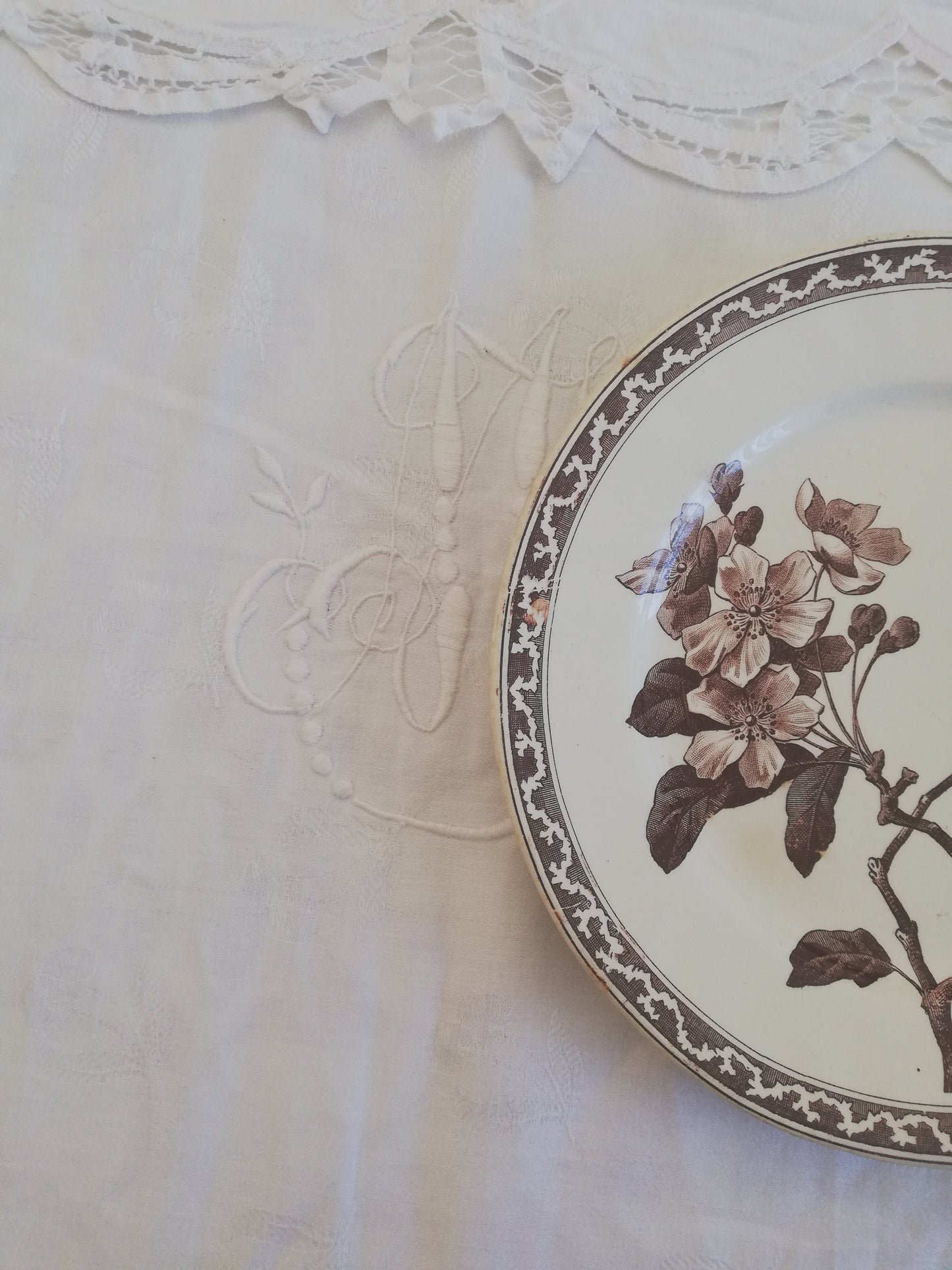 Assiette Creil et Montereau Fleur de Pommier 21 cm