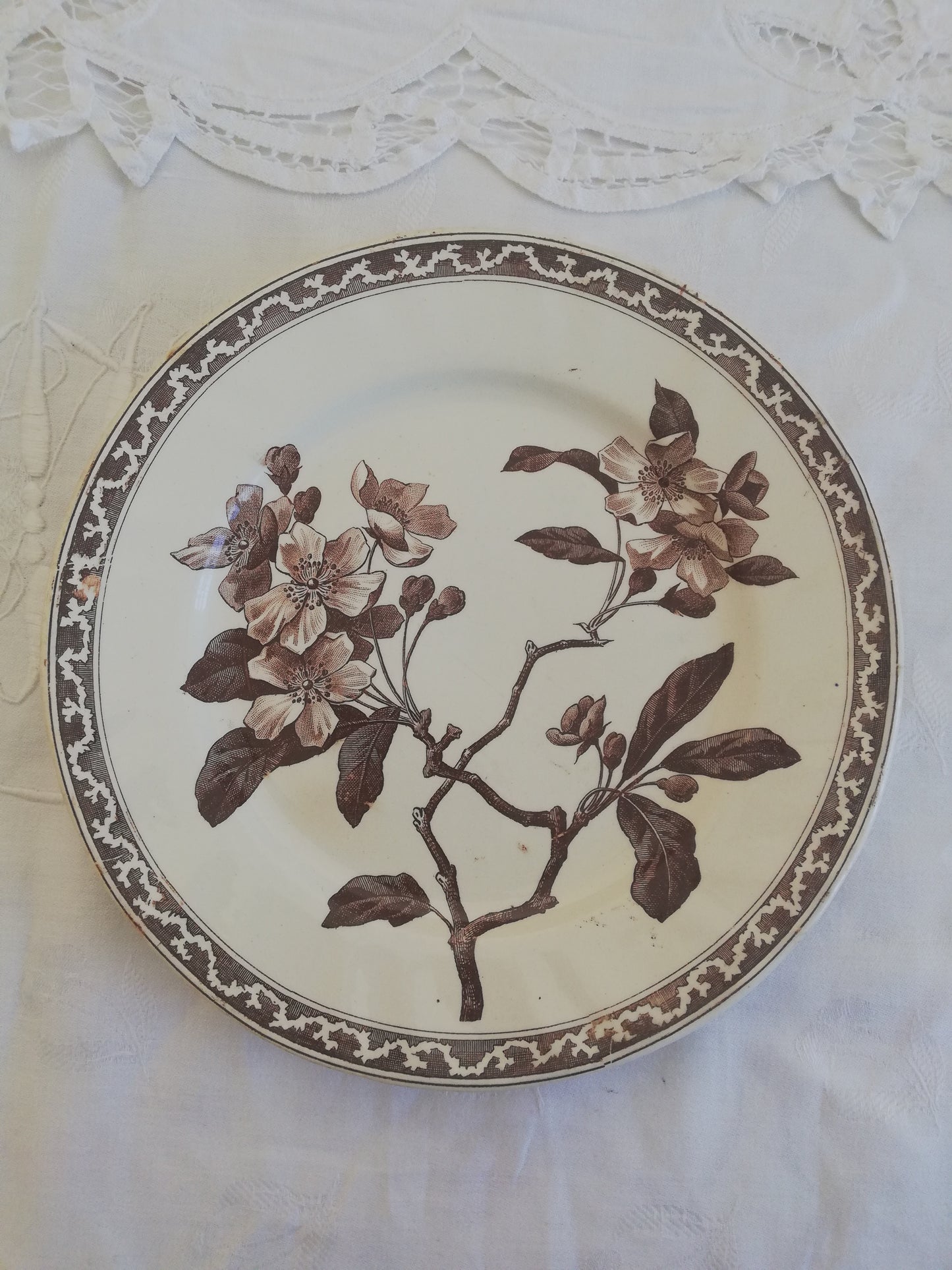 Assiette Creil et Montereau Fleur de Pommier 21 cm