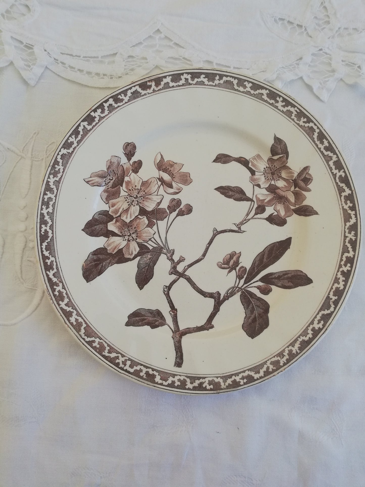 Assiette Creil et Montereau Fleur de Pommier 21 cm