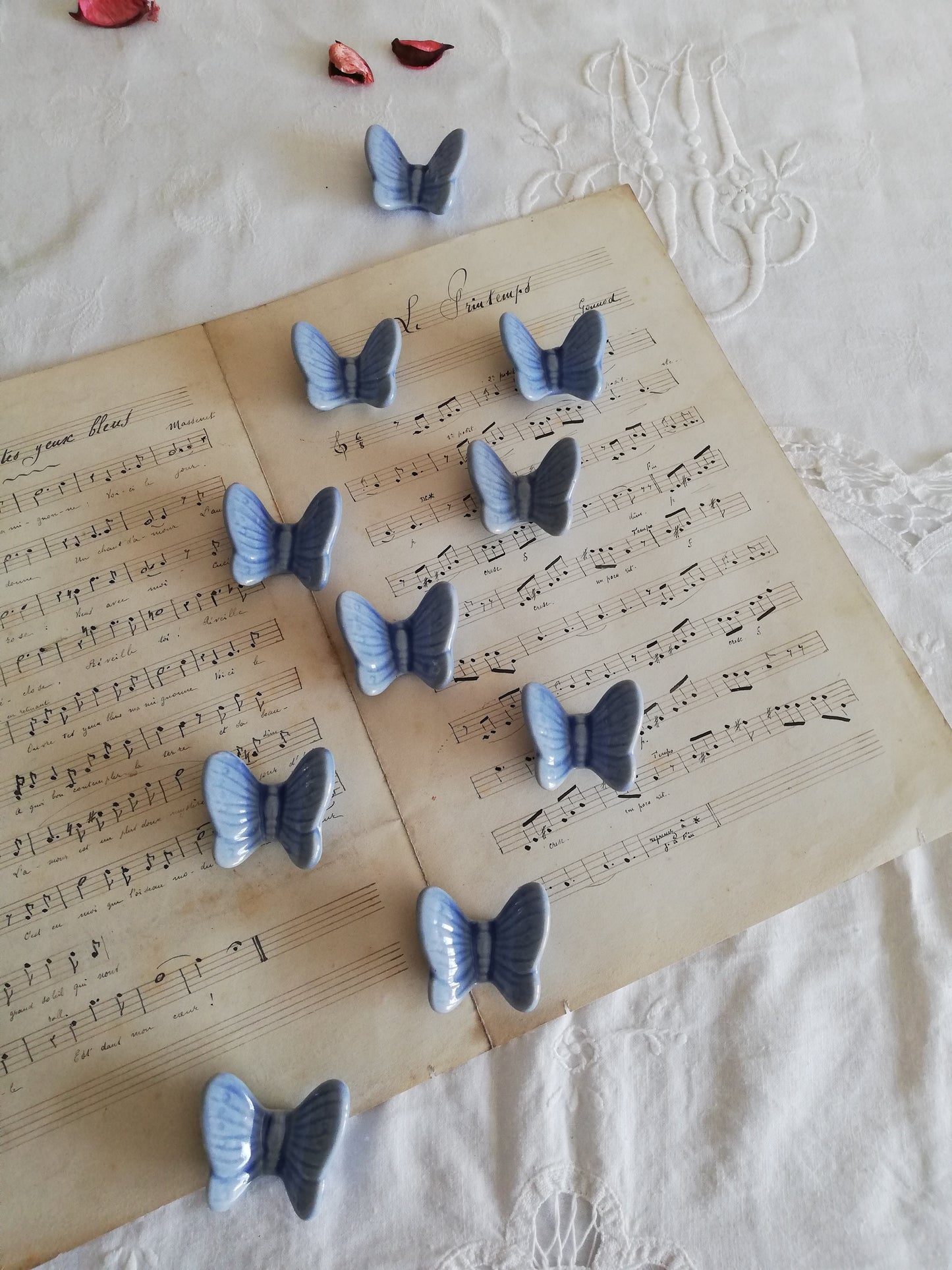 Portes Couteaux Papillon x 10
