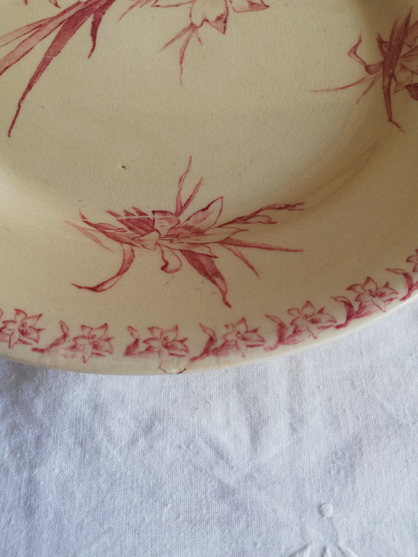 Assiette Gien Glaieuls