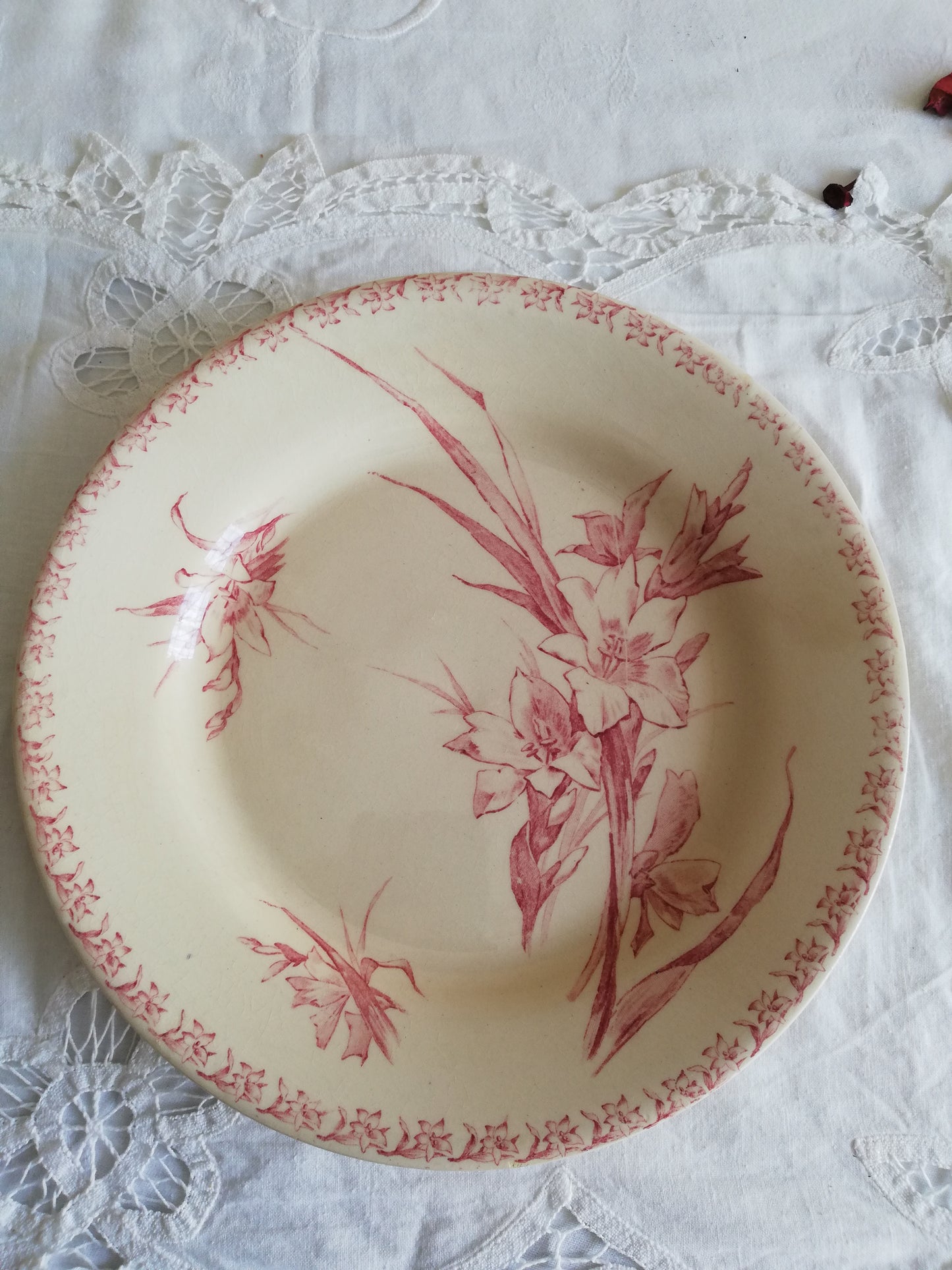 Assiette Gien Glaieuls