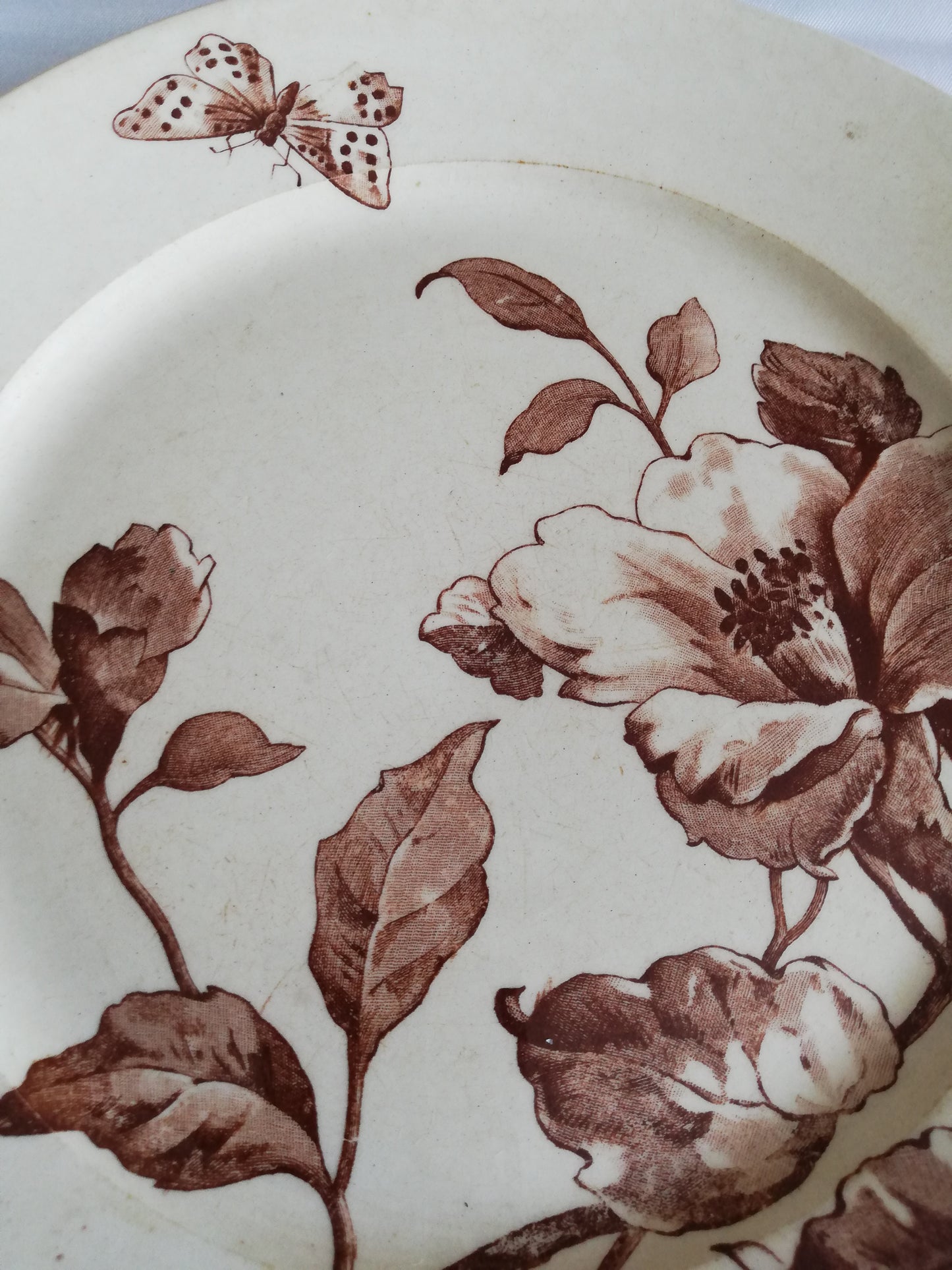 Assiette Été Gien