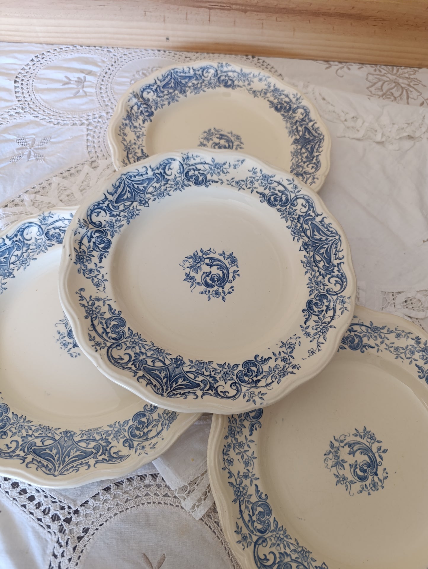 Assiettes Aramis Longchamp terre de fer bleu