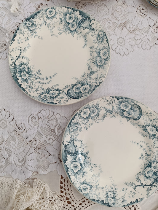 Assiette terre de fer Derby Choisy le Roi