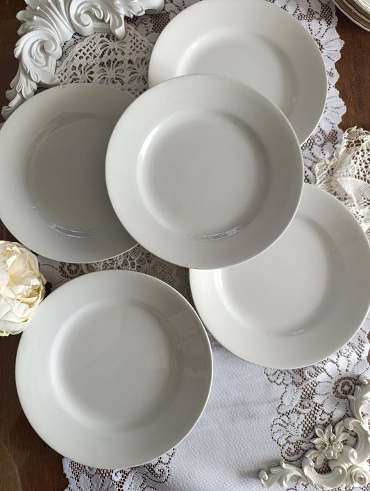 Assiette terre de fer blanche China Sarreguemines