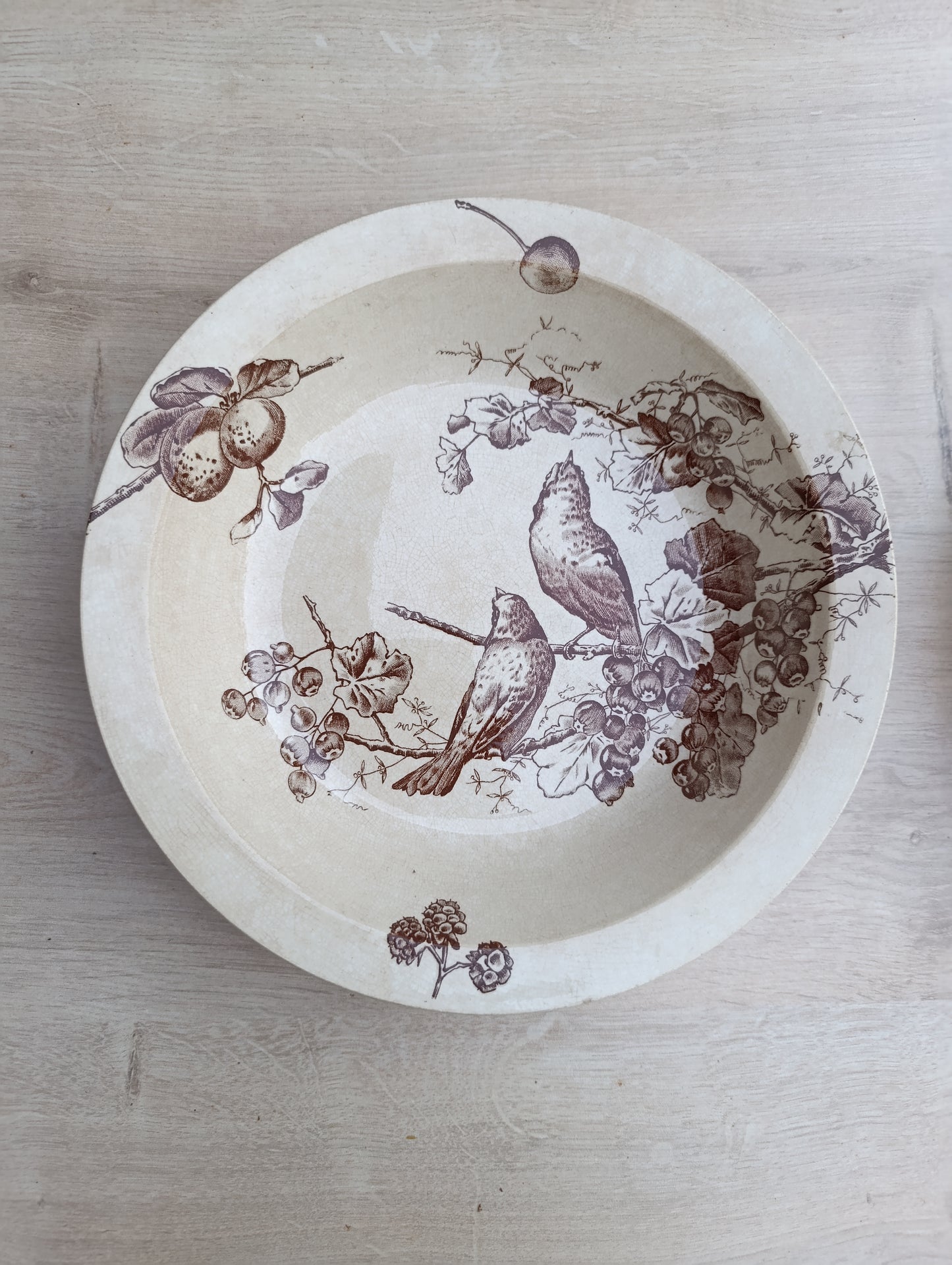 Saladier bas terre de fer oiseaux Choisy le Roi