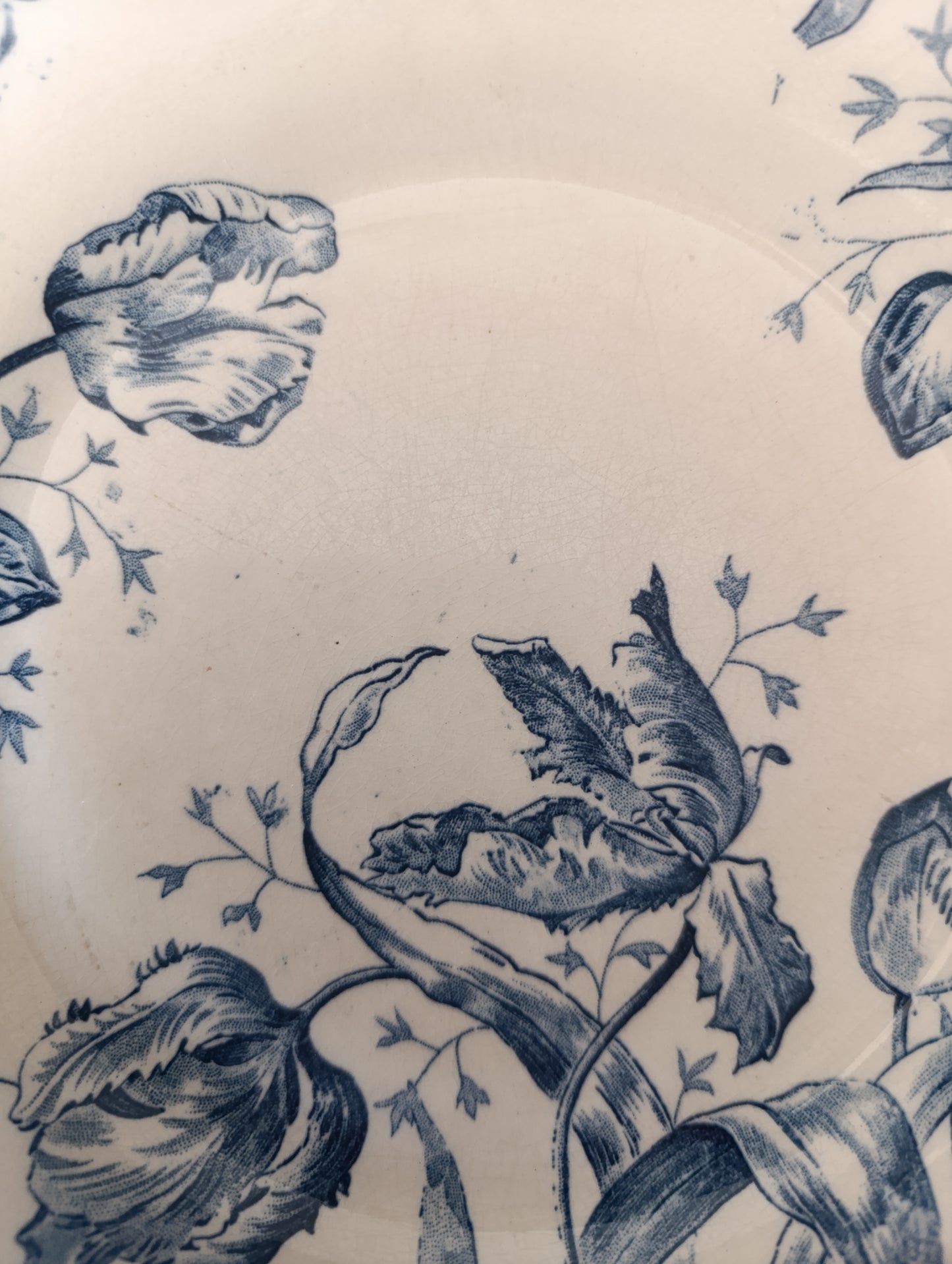 Assiette Gien Tulipe