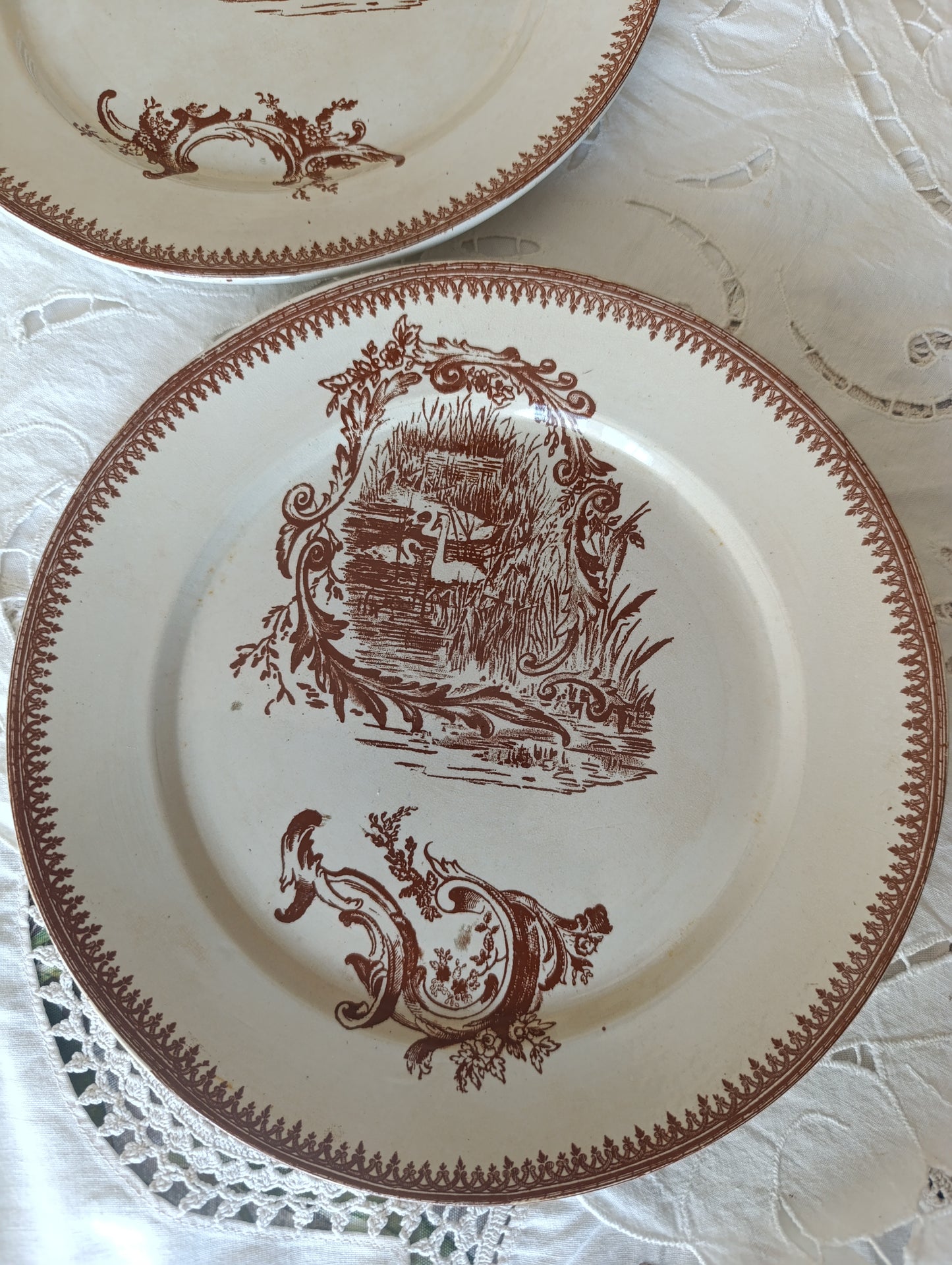 Assiette Rocaille Pexonne terre de fer