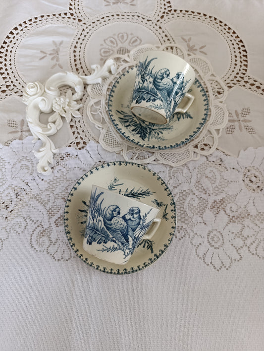 Tasse perruche KG Luneville