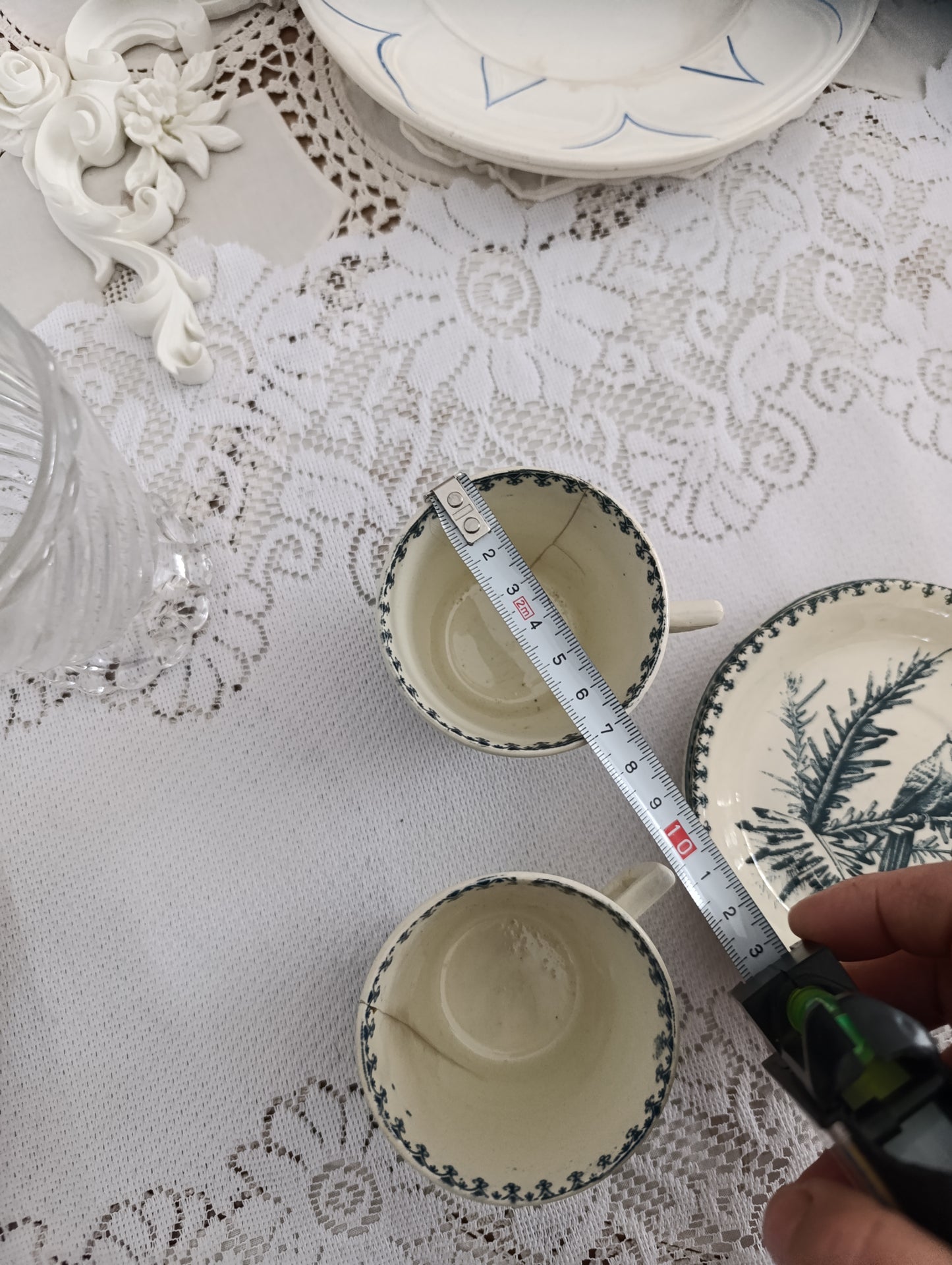 Tasse perruche KG Luneville