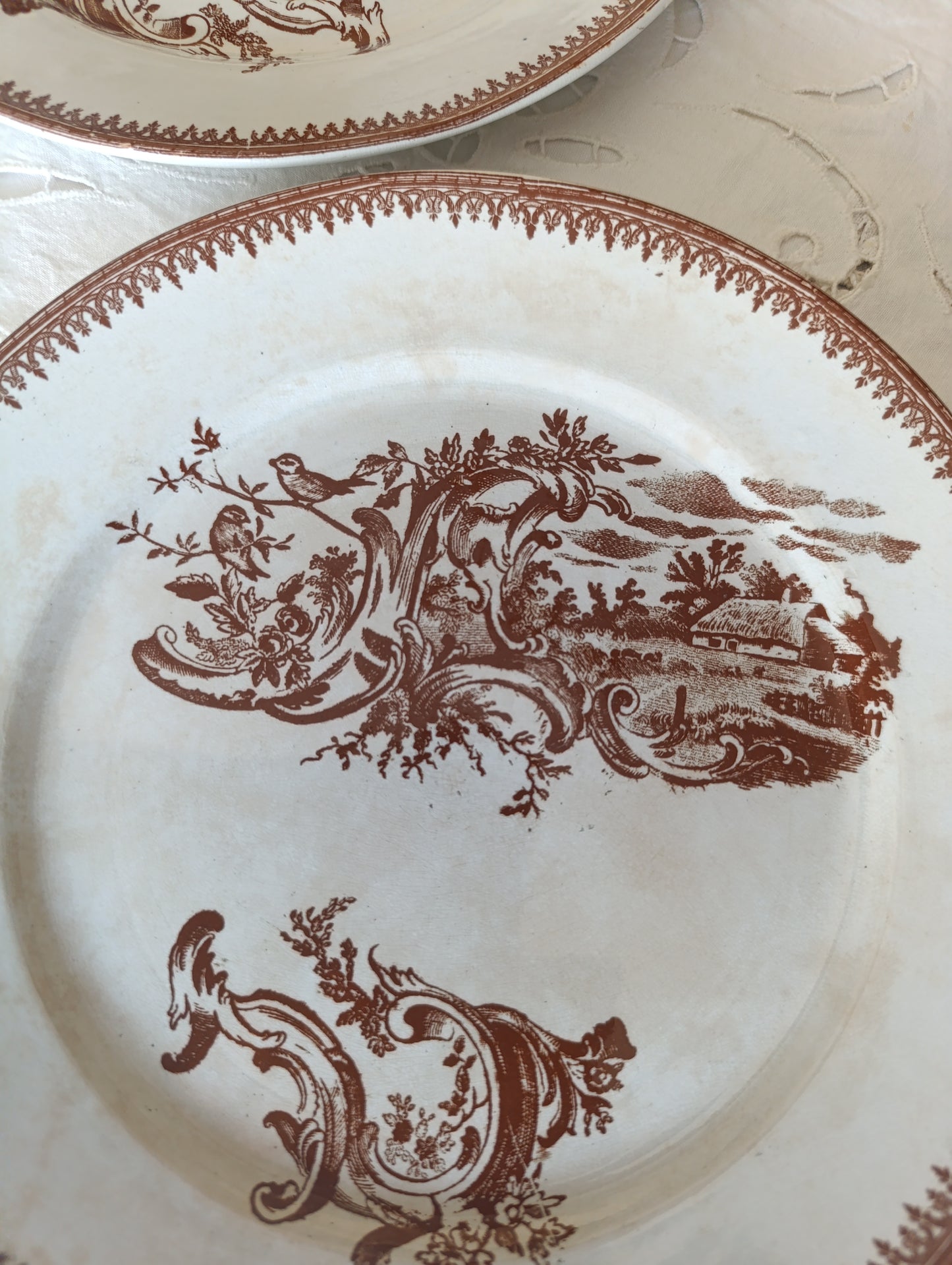 Assiette Rocaille Pexonne terre de fer