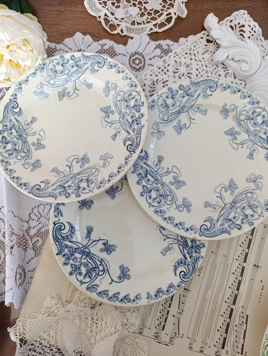 3 assiettes Violettes Clairefontaine