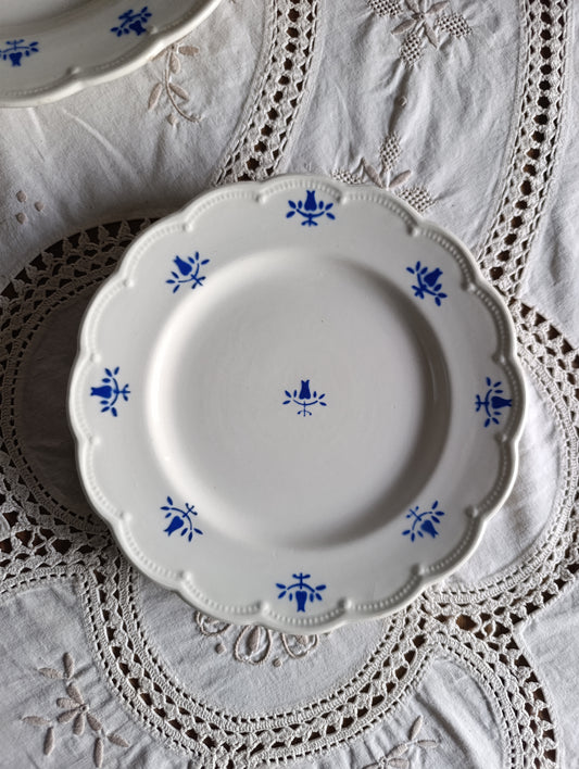 Assiettes dessert anciennes tulipe Boch la Louvière (Copie)