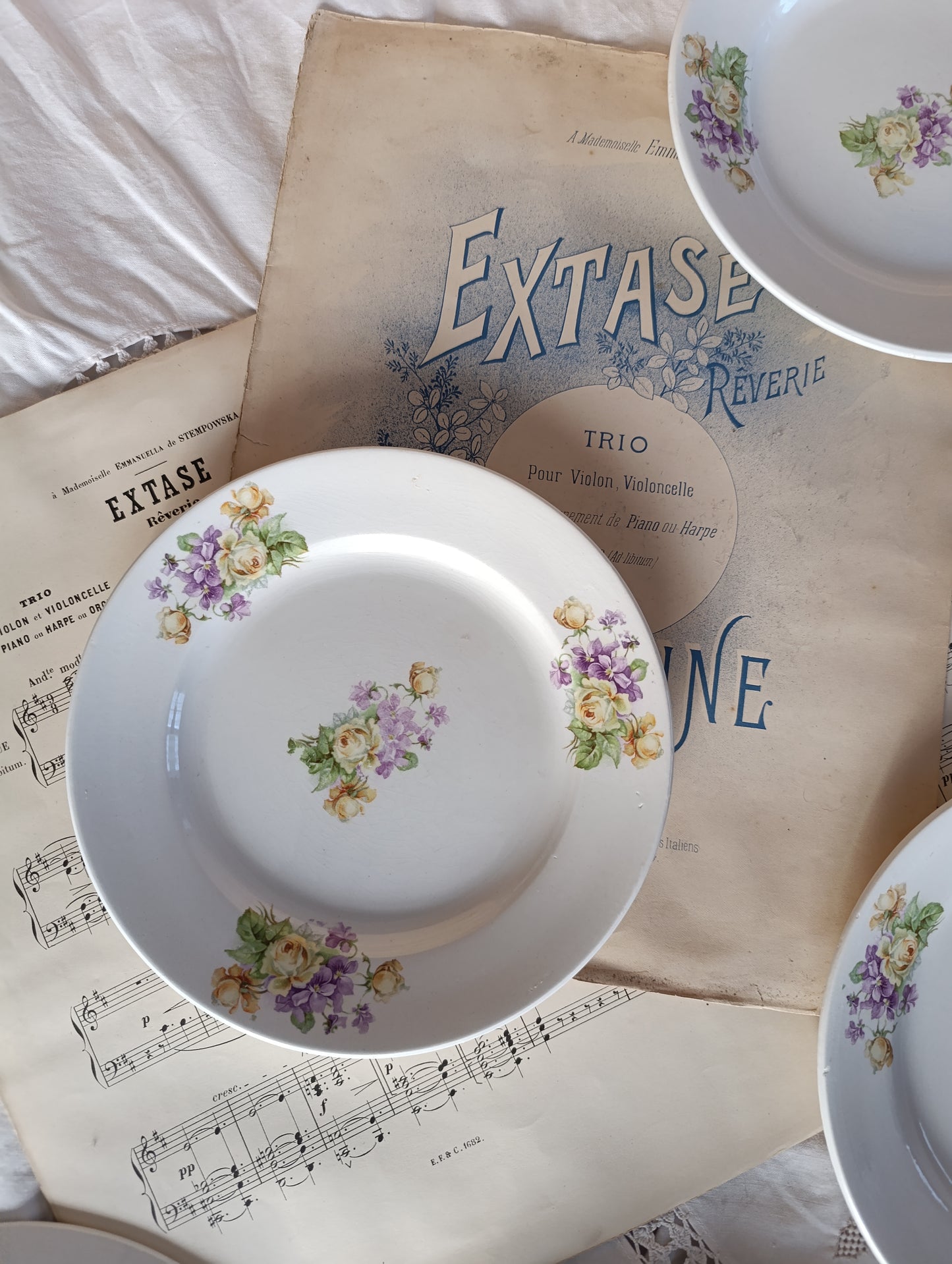 Assiette Sarreguemines 19ème