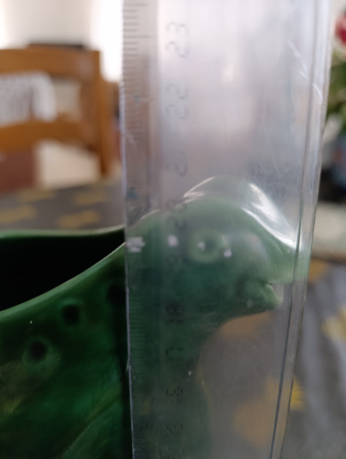 Pichet grenouille L'héritier Guyot