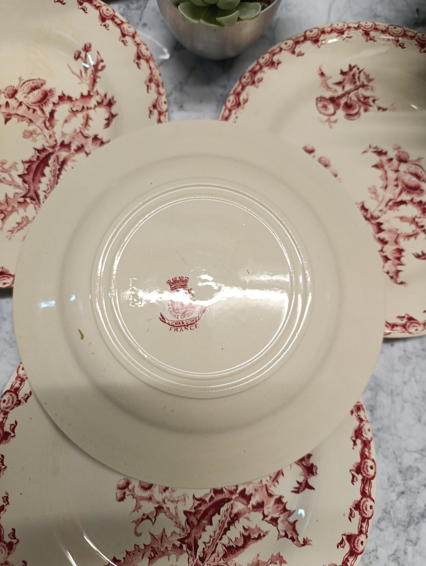 Assiette Chardon Gien