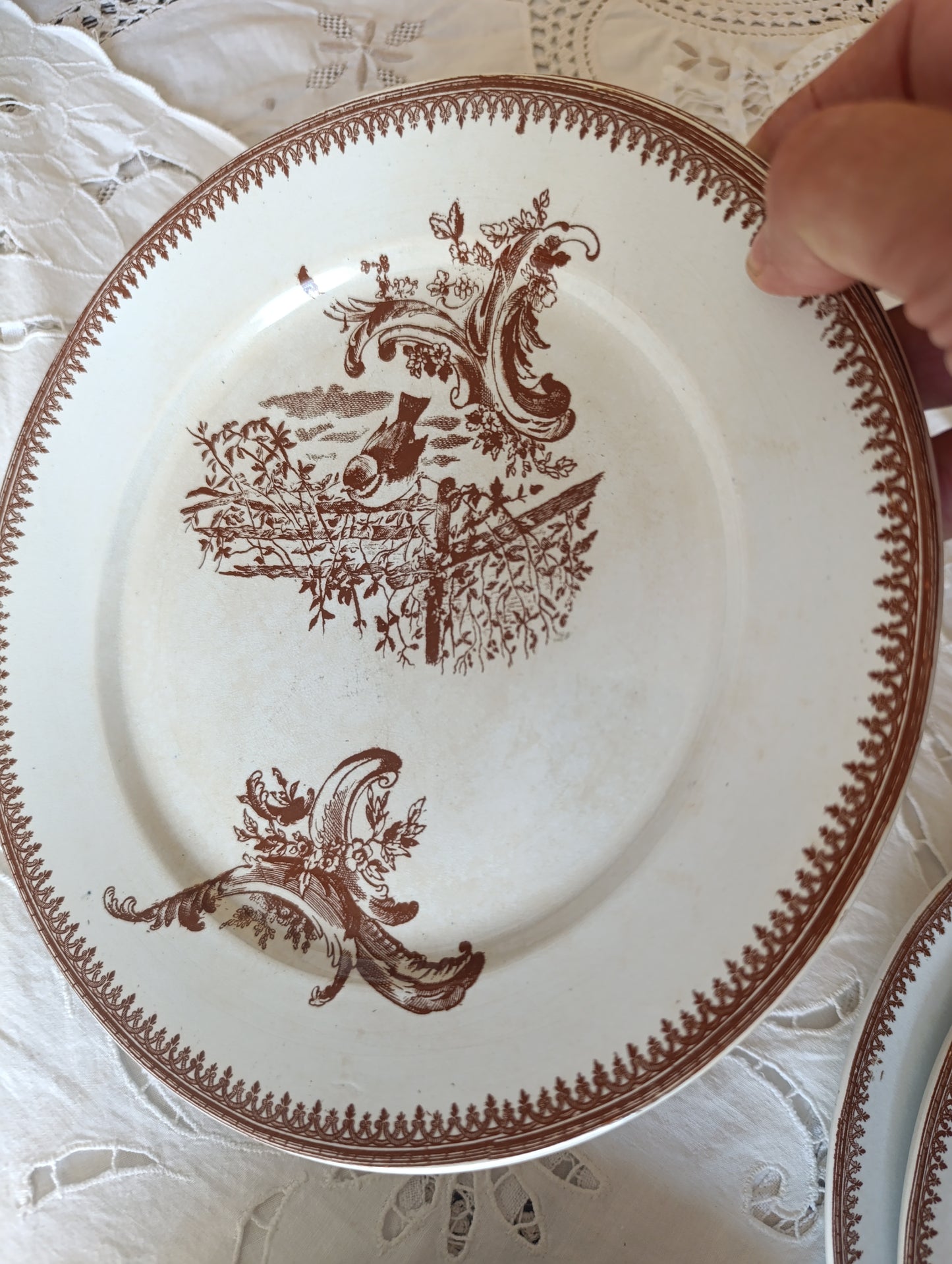 Assiette Rocaille terre de fer Pexonne