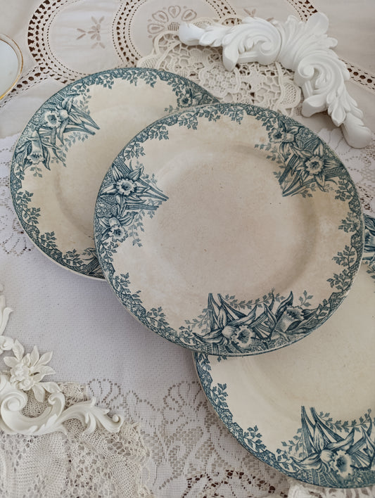 Assiette terre de fer Narcisses