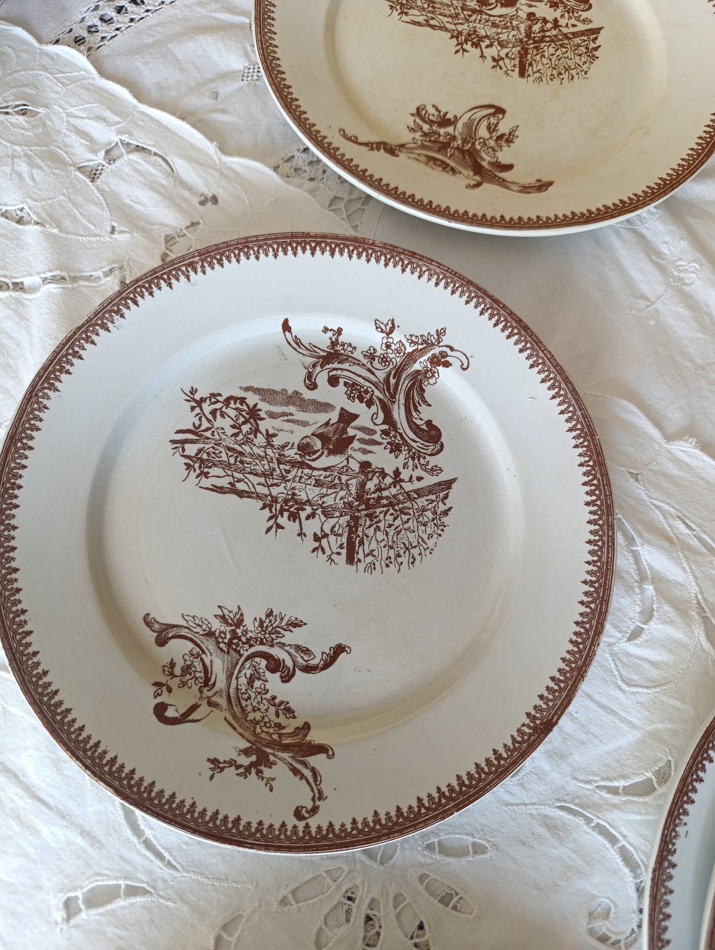 Assiette Rocaille terre de fer Pexonne