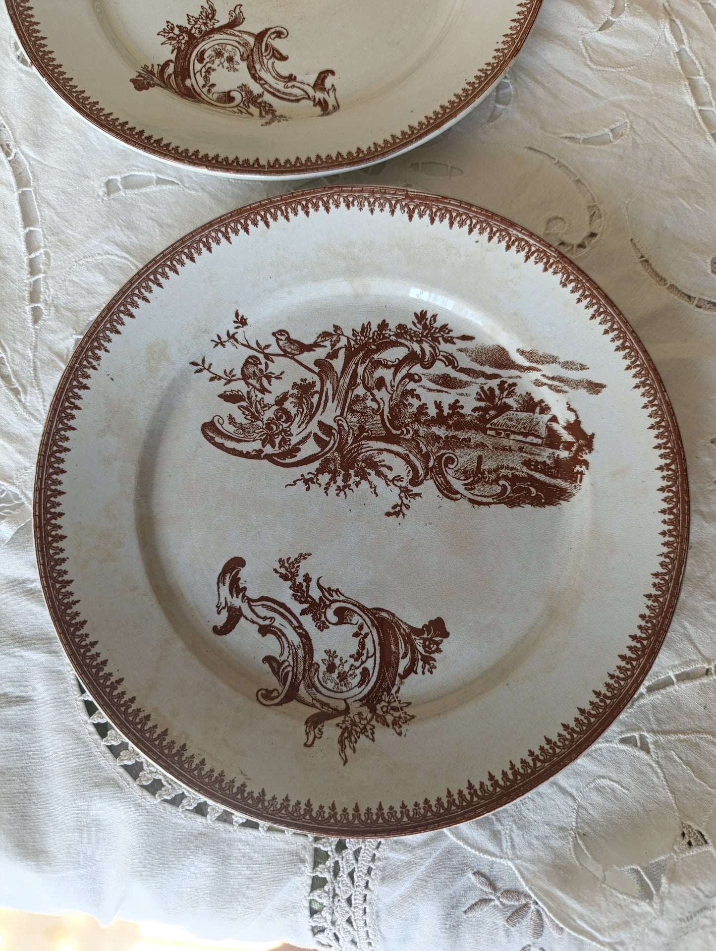 Assiette Rocaille Pexonne terre de fer