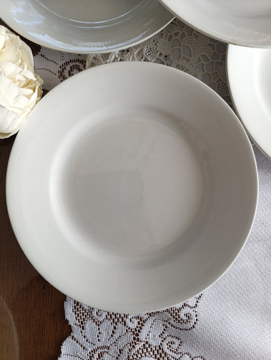 Assiette terre de fer blanche China Sarreguemines